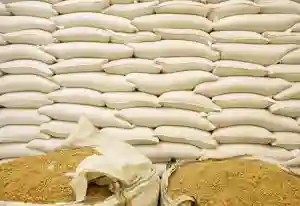 Zimbabwe: Nearly 90 000 Tonnes Of Wheat Harvested And Delivered To GMB