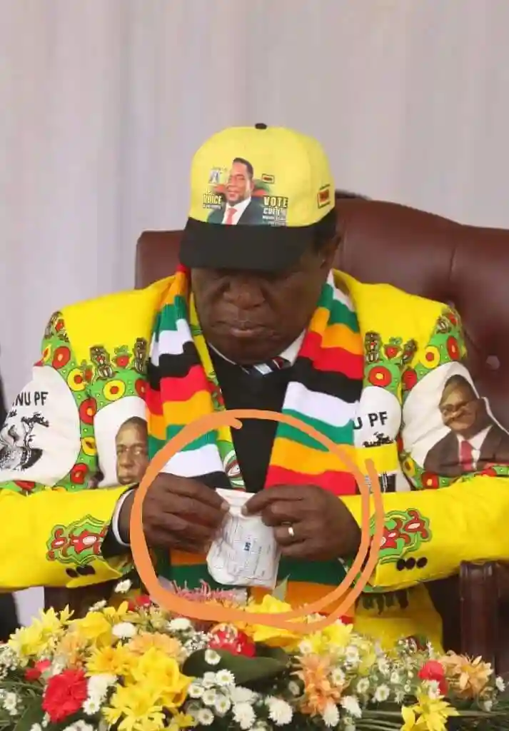 Zimbabwe Needs A Benevolent Dictator To Make It Functional Again - Daily News Columnist