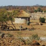 Zimbabwe Receives US$71 Million For Reforestation Programme