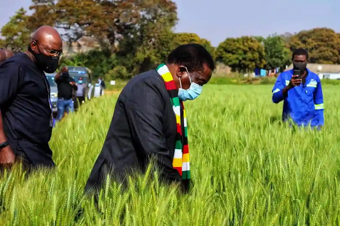 Zimbabwe Says It Won't Return All Expropriated Land To White Former Farmers
