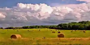 Zimbabwe Weather Report And Forecast: 07 - 09 August 2022
