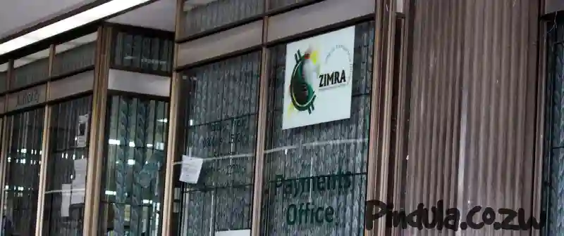 ZIMRA Workers Annoyed By New Board Chair, Callisto Jokonya