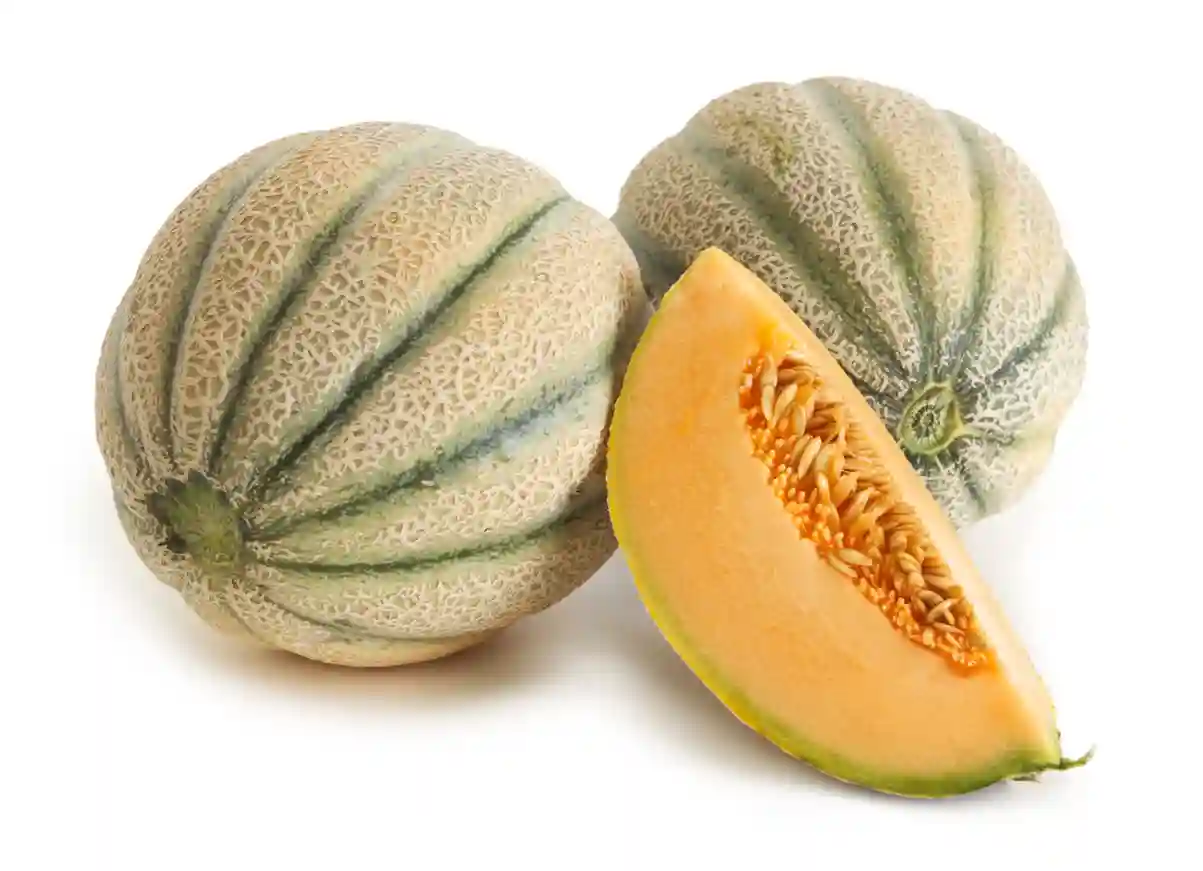 ZimTrade Plans To Boost Rock Melon Production And Export