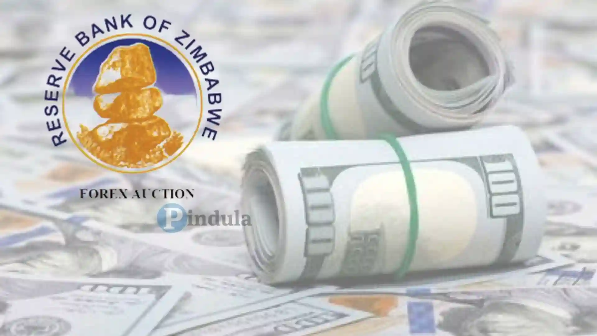 ZNCC Frets Over The Scarcity Of USD Sellers On Interbank Market