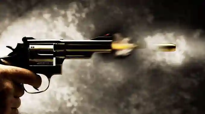 ZRP Fatally Shoots 2 Men Suspected To Be Chivhu Shooting Incident Gunmen - Report